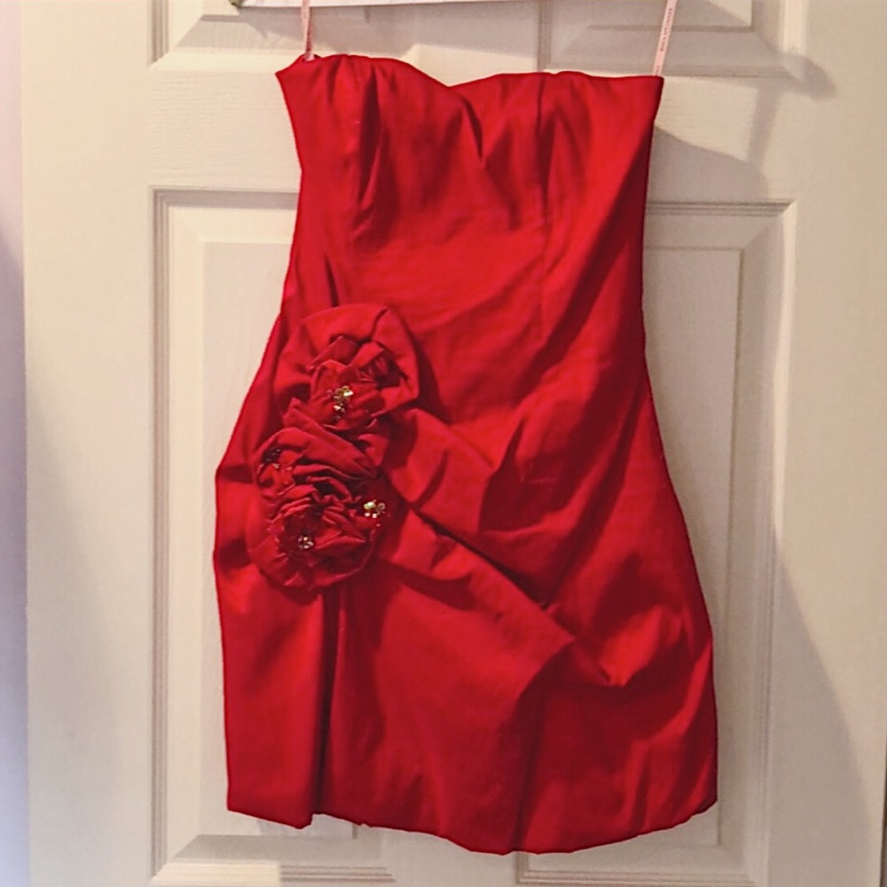 Jessica McClintock Dress